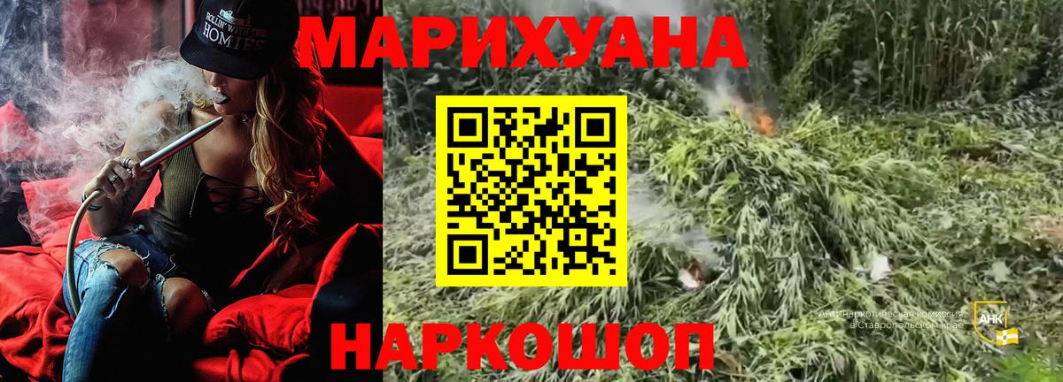 Бошки марихуана White Widow  Бошки Шишки планчик  Курчатов  Вход с VPN  Конопля ГИДРОПОН  Шишки марихуана сатива 